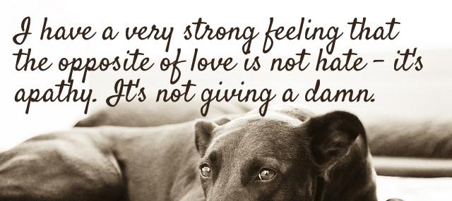 Quotation Leo Buscaglia I have a very strong feeling that the opposite of Quotes