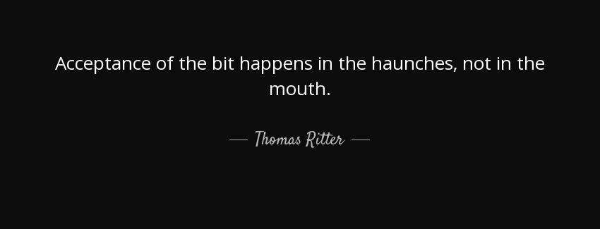 quote acceptance of the bit happens in the haunches not in the mouth thomas ritter Quotes