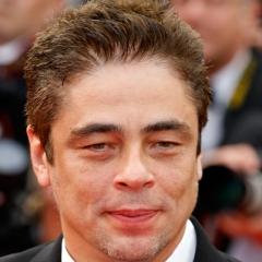 Benicio Del Toro quotes