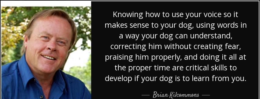 quote knowing how to use your voice so it makes sense to your dog using words in a way your brian kilcommons Quotes