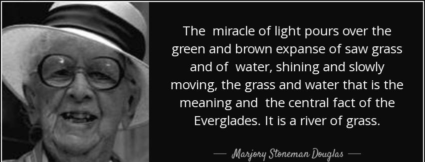 quote the miracle of light pours over the green and brown expanse of saw grass and of water marjory stoneman douglas Quotes