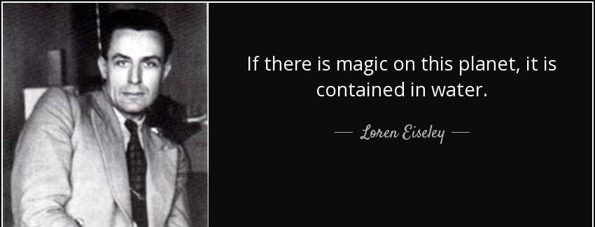 quote if there is magic on this planet it is contained in water loren eiseley Quotes