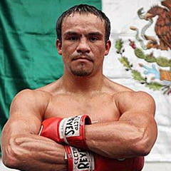 Juan Manuel Marquez quotes