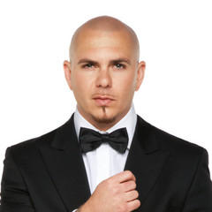 Pitbull quotes