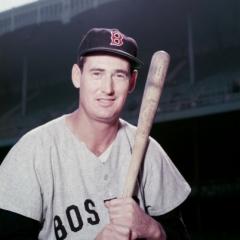 Ted Williams quotes
