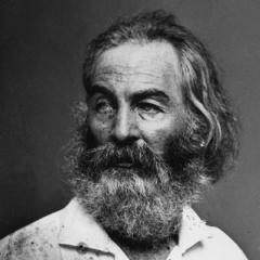 Walt Whitman quotes