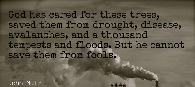 Quotation John Muir God has cared for these trees saved them from drought Quotes