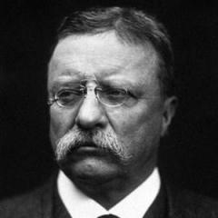 Theodore Roosevelt quotes