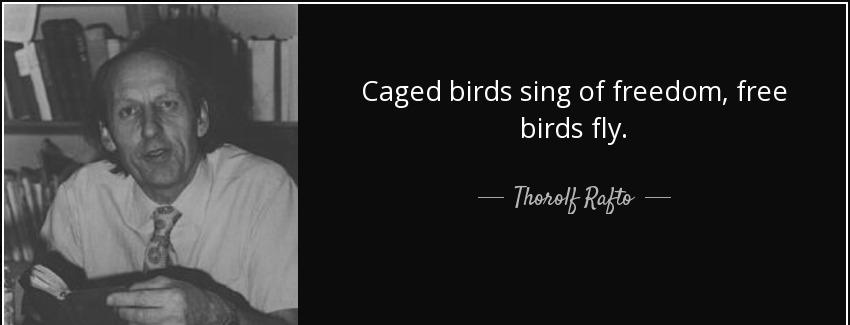 quote caged birds sing of freedom free birds fly thorolf rafto Quotes