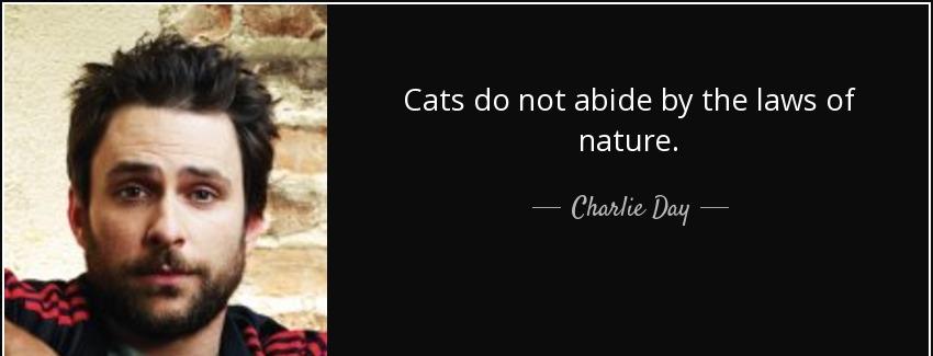 quote cats do not abide by the laws of nature charlie day Quotes