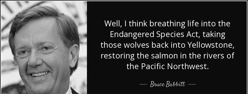 quote well i think breathing life into the endangered species act taking those wolves back bruce babbitt Quotes