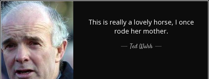 quote this is really a lovely horse i once rode her mother ted walsh Quotes