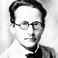 Erwin Schrodinger quotes