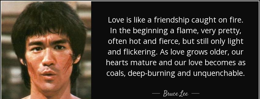 quote love is like a friendship caught on fire in the beginning a flame very pretty often bruce lee Quotes