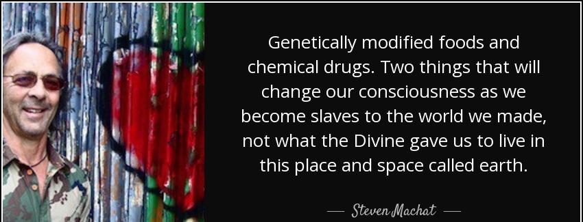 quote genetically modified foods and chemical drugs two things that will change our consciousness steven machat Quotes