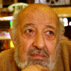 Ara Guler quotes