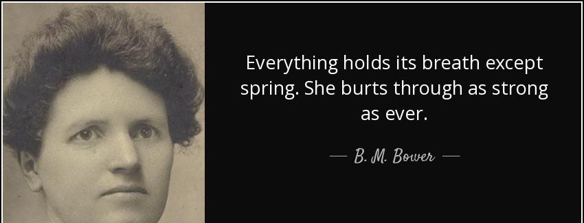 quote everything holds its breath except spring she burts through as strong as ever b m bower Quotes