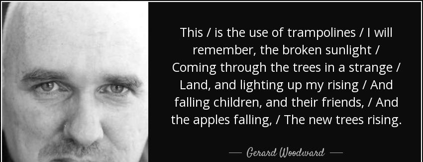 quote this is the use of trampolines i will remember the broken sunlight coming through the gerard woodward Quotes