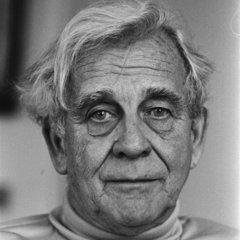 Jan de Hartog quotes