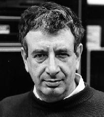 Jacob T. Schwartz quotes