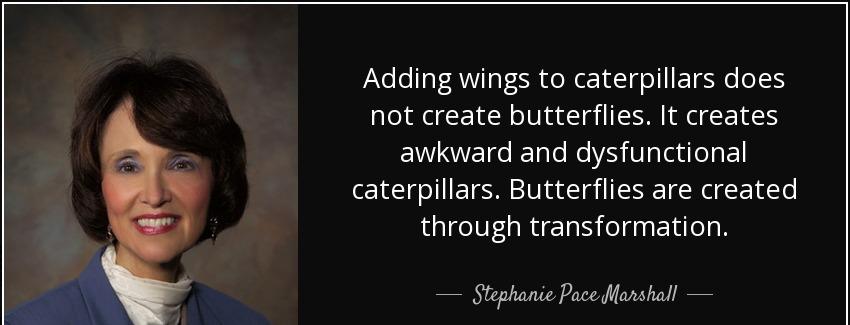 quote adding wings to caterpillars does not create butterflies it creates awkward and dysfunctional stephanie pace marshall Quotes