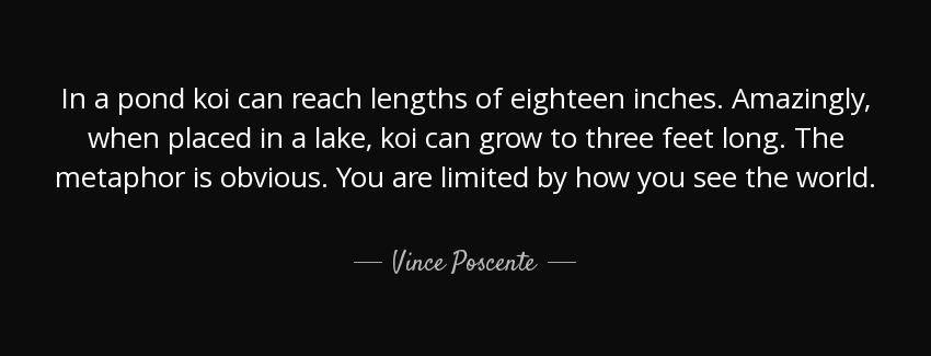 quote in a pond koi can reach lengths of eighteen inches amazingly when placed in a lake koi vince poscente Quotes