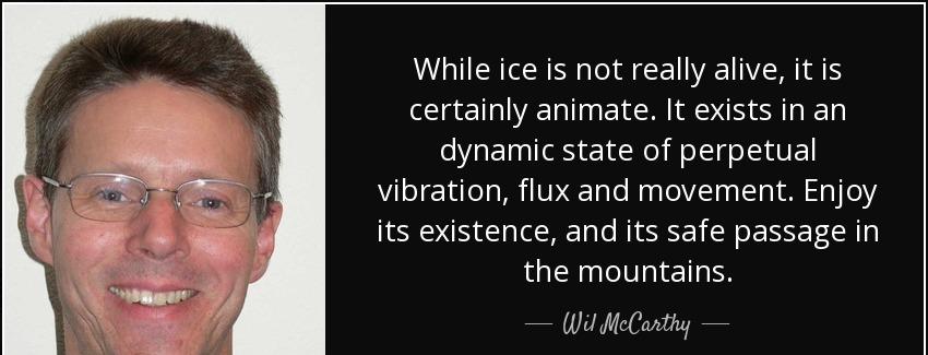 quote while ice is not really alive it is certainly animate it exists in an dynamic state wil mccarthy Quotes