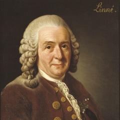 Carl Linnaeus quotes