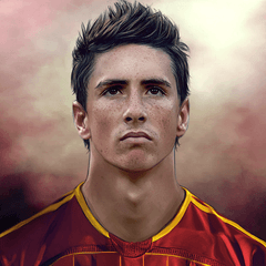Fernando Torres quotes