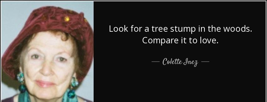 quote look for a tree stump in the woods compare it to love colette inez Quotes