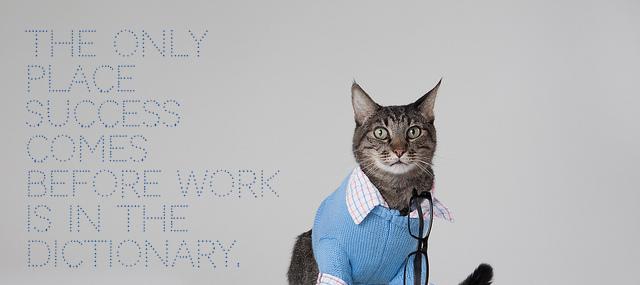 Quotation Vince Lombardi The only place success comes before work is in the Quotes