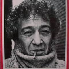 Alexis Korner quotes