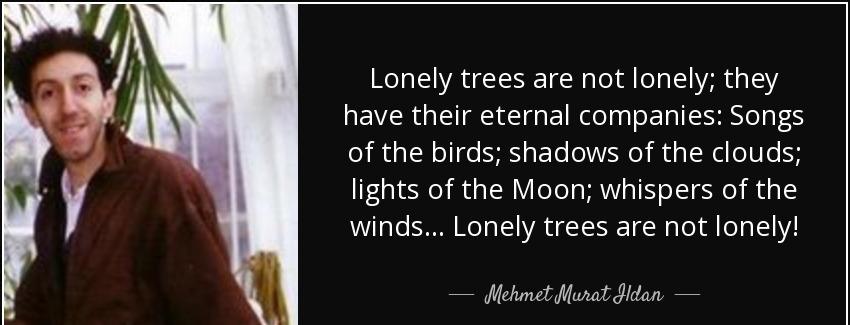 quote lonely trees are not lonely they have their eternal companies songs of the birds shadows mehmet murat ildan Quotes