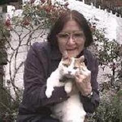 Sheenagh Pugh quotes