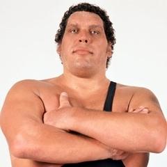 Andre the Giant quotes