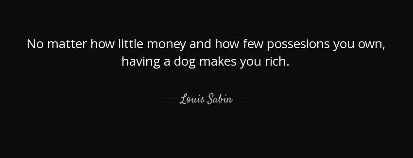 quote no matter how little money and how few possesions you own having a dog makes you rich louis sabin Quotes