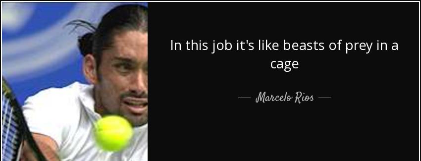 quote in this job it s like beasts of prey in a cage marcelo rios Quotes