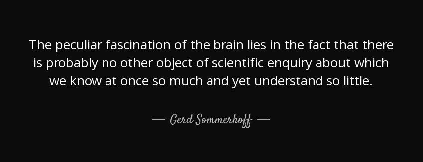 quote the peculiar fascination of the brain lies in the fact that there is probably no other gerd sommerhoff Quotes