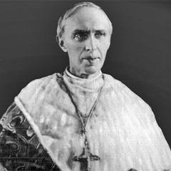 Desire-Joseph Mercier quotes