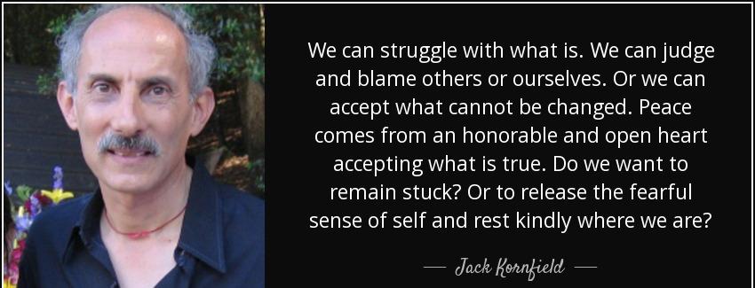 quote we can struggle with what is we can judge and blame others or ourselves or we can accept jack kornfield Quotes