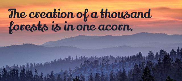 Quotation Ralph Waldo Emerson The creation of a thousand forests is in one acorn Quotes
