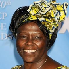 Wangari Maathai quotes