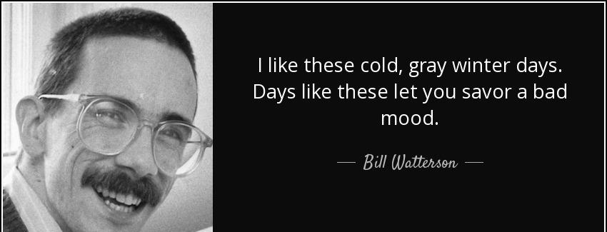 quote i like these cold gray winter days days like these let you savor a bad mood bill watterson Quotes