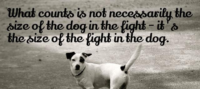 Quotation Dwight D Eisenhower What counts is not necessarily the size of the dog Quotes