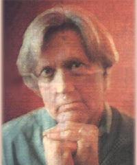 Donald Harington quotes