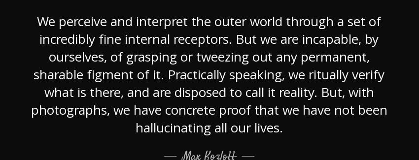 quote we perceive and interpret the outer world through a set of incredibly fine internal max kozloff Quotes