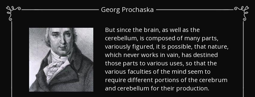 quote but since the brain as well as the cerebellum is composed of many parts variously figured georg prochaska Quotes