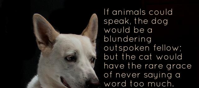 Quotation Mark Twain If animals could speak the dog would be a blundering Quotes