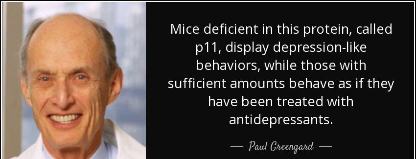 quote mice deficient in this protein called p11 display depression like behaviors while those paul greengard Quotes