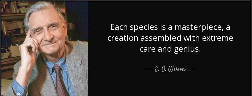 quote each species is a masterpiece a creation assembled with extreme care and genius e o wilson Quotes